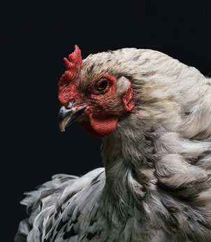 環境治理范疇